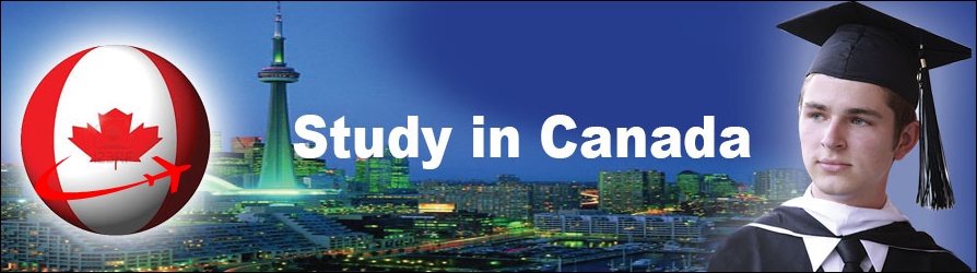 Work in Canada consultant